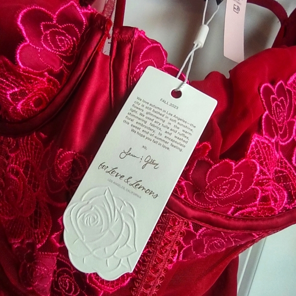 $180 For Love & Lemons Clara Mini Slip Corset Dress - Picture 7 of 7